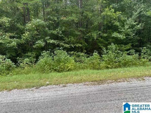 County Road 892 #2, Wedowee, AL 36278