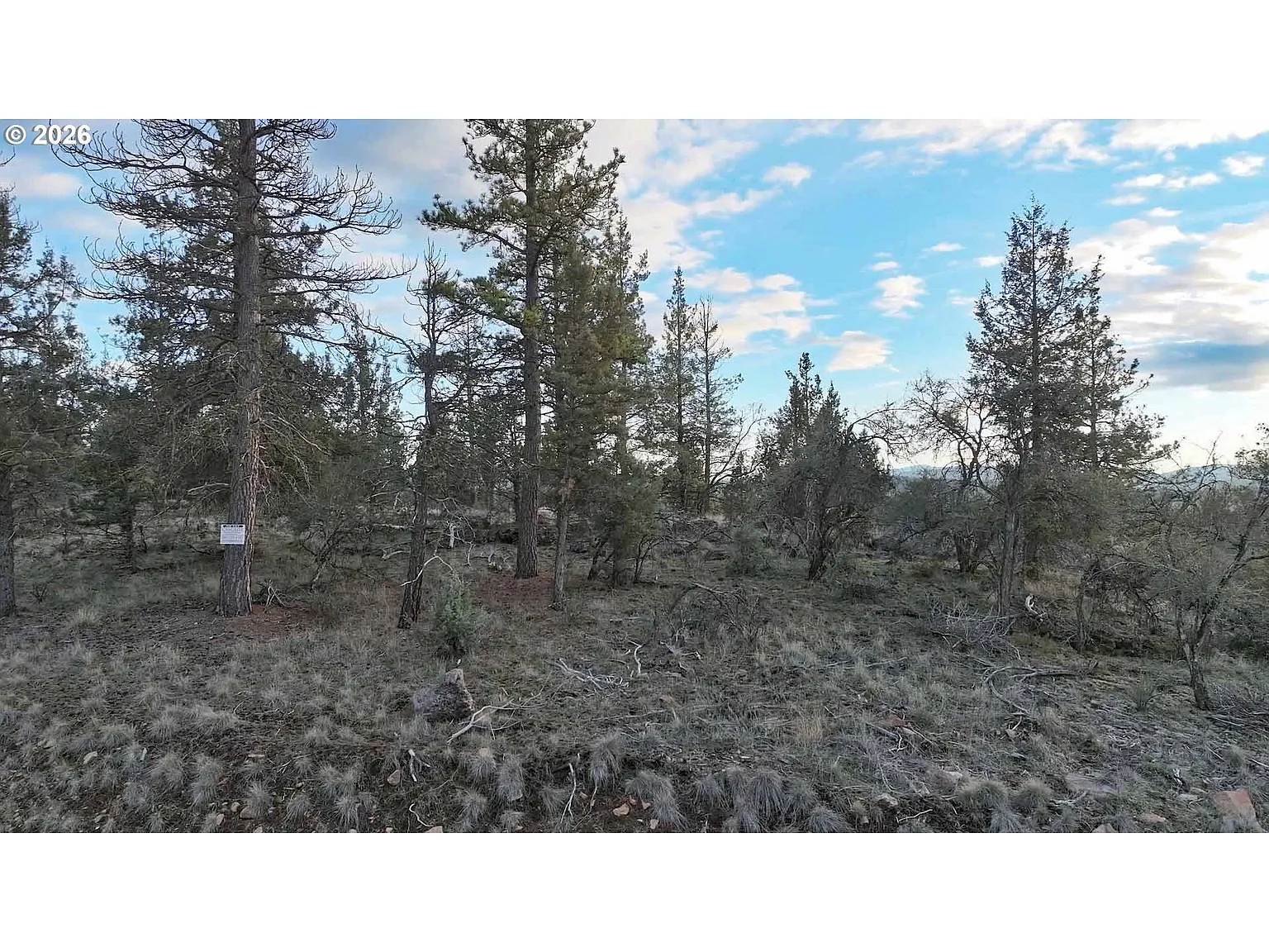 Prarie Dog Drive Por #13 photo 1