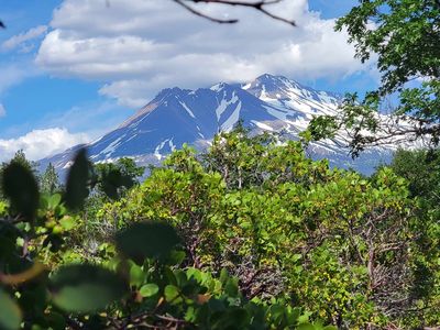 Lots 10 & 11 College Ave, Weed, CA, 96094