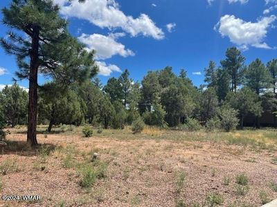 641 S Campbell Ln, Show Low, AZ, 85901
