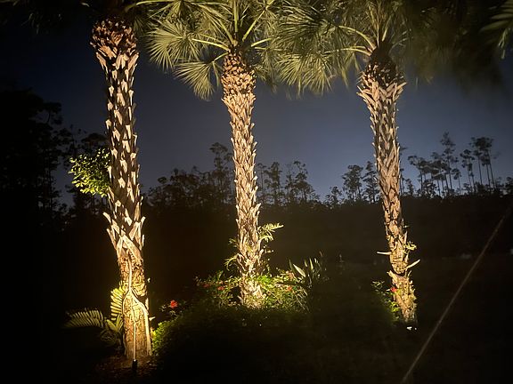 4th image of 20466 Black Tree Ln