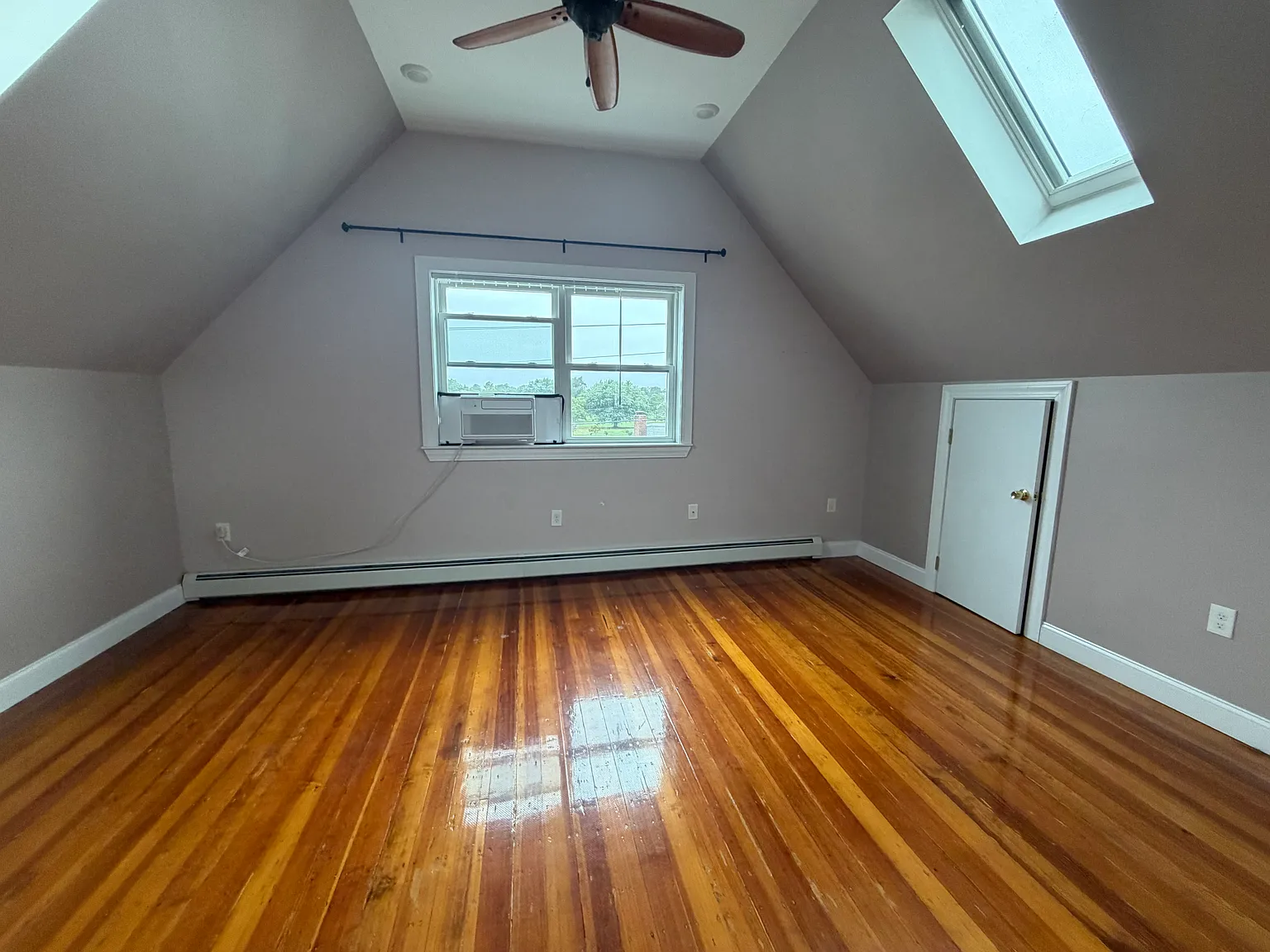 262 Shirley St — Photo 4