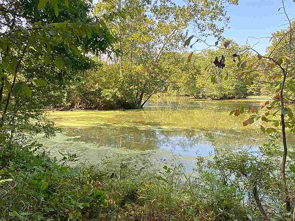 4th image of N Lake In The Woods Dr