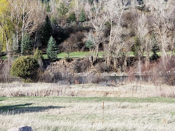 2nd image of 272 River Bank Ln