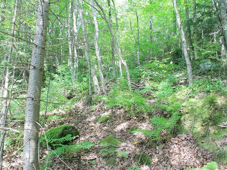 1st image of W Skye Dr #1