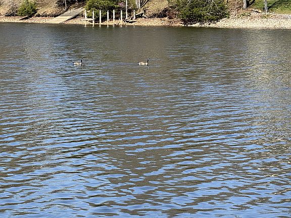 5th image of 0 Hickory Cir Lot 2