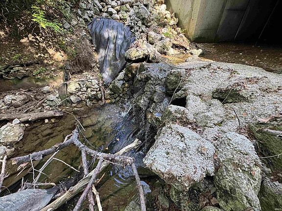 5th image of 525 Shady Creek Dr