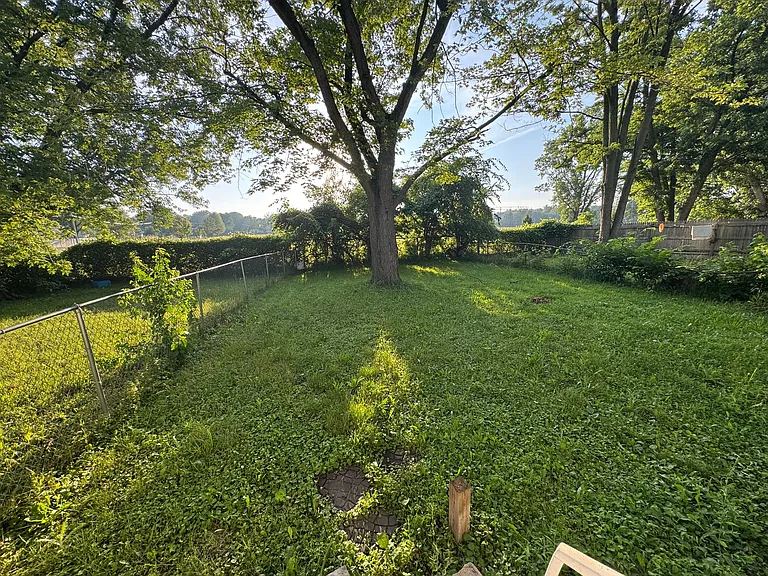 33578 Berville Ct — Photo 13
