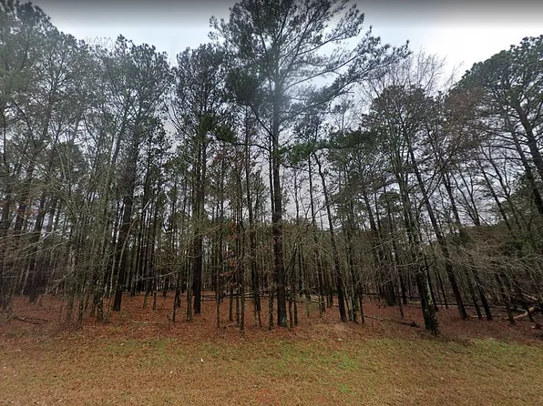 1150 Caboose Ct, Greensboro, GA 30642