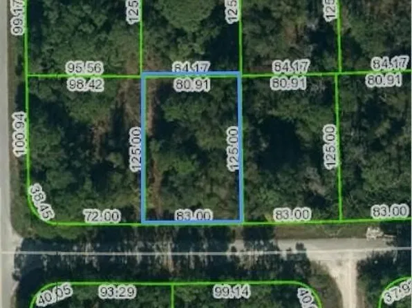 220 Crimson Ave, Lake Placid, FL 33852
