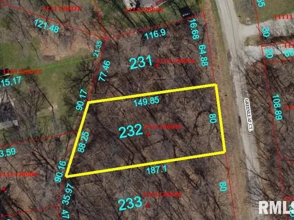 232 Green Leaf Ct, Dahinda, IL 61428