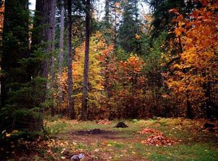 118 Fairway Dr, Packwood, WA 98361