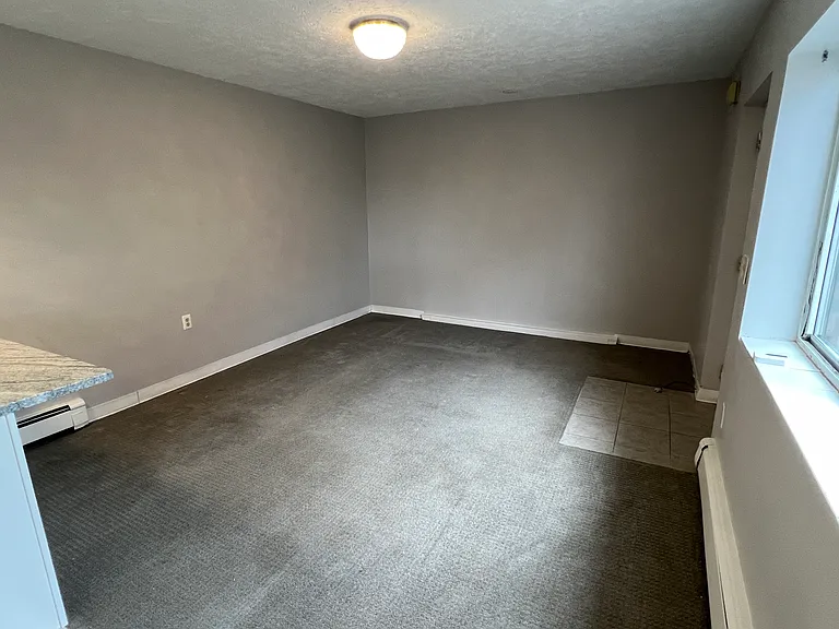 234 Palfrey St #234 — Photo 5
