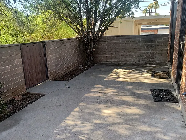 3235 E Terra Alta Blvd — Photo 9