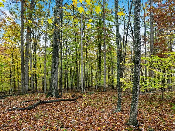 5th image of 20 Ridgeway Dr