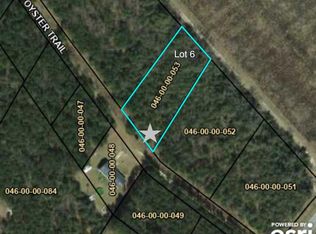 6 Jessica Dr, Williston, SC 29853