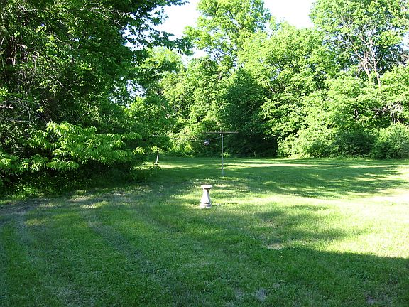 Wooded back yard