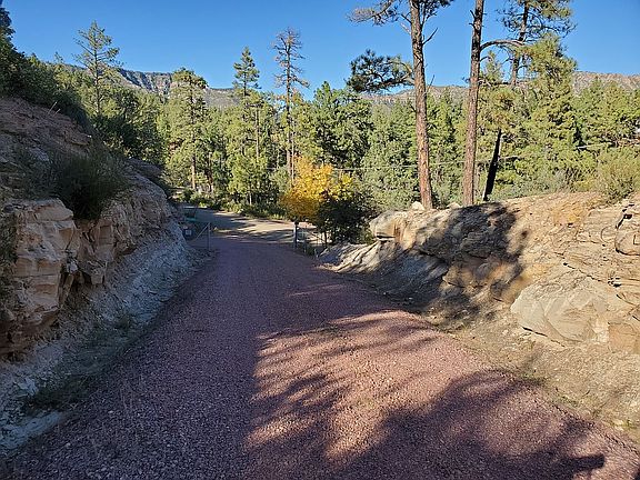 Looking NORTH Down Driveway 