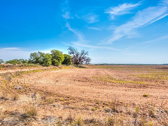 3rd image of Other Other