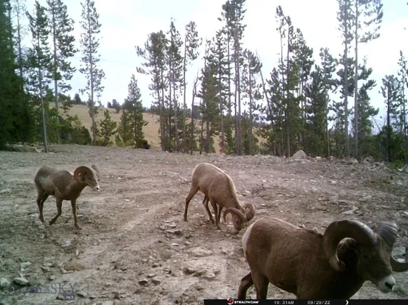 Anna Indian Creek Rd, Townsend, MT 59644