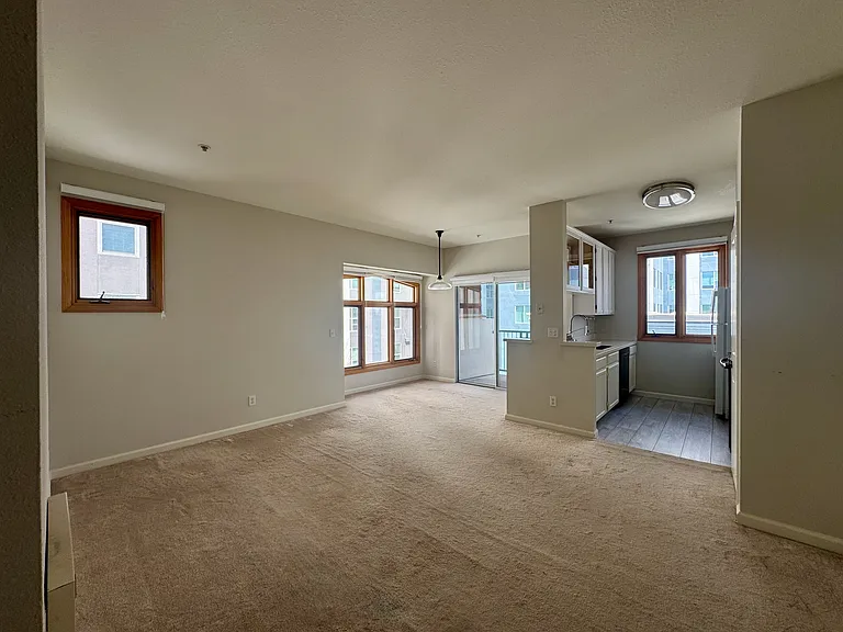 Large Living Room / Dining Room