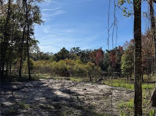 NW 7th Pl, Ocala, FL 34482