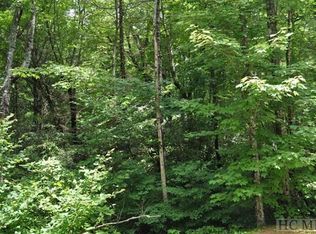 107 N Bark Rd, Sapphire, NC 28774