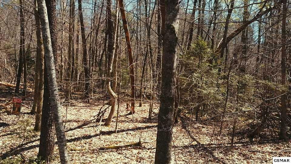 1st image of 2 Ownby Rd #2