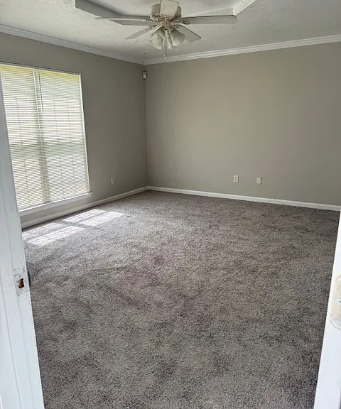 4611 Marthas Way — Photo 9