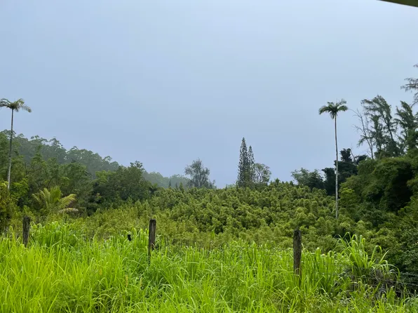 39-3342 Hana Kaluna Camp Rd, Ookala, HI 96774