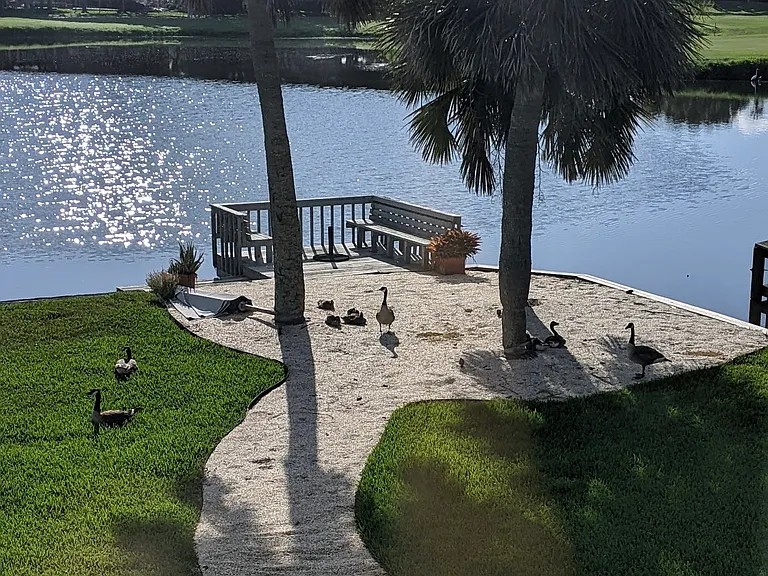 325 San Juan Dr — Photo 49
