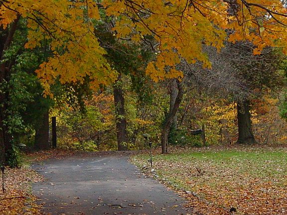 Front yard in Fall
