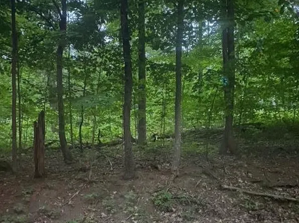 Lot #1 Blossom Hill Road, Ravena, NY 12143