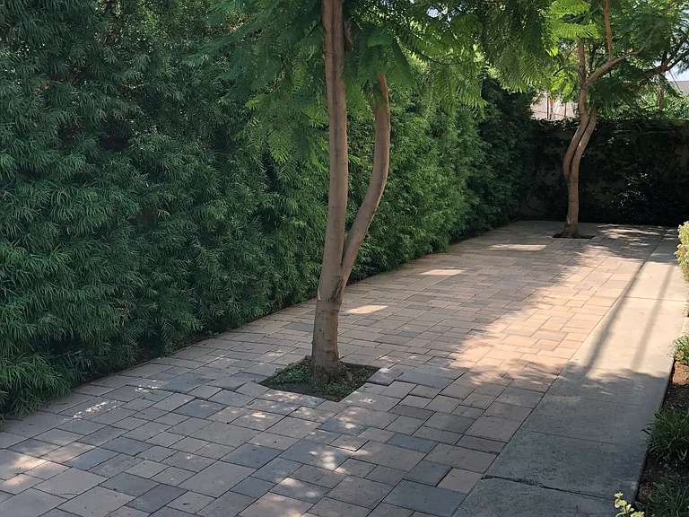 6930 Simpson Ave #3 — Photo 4