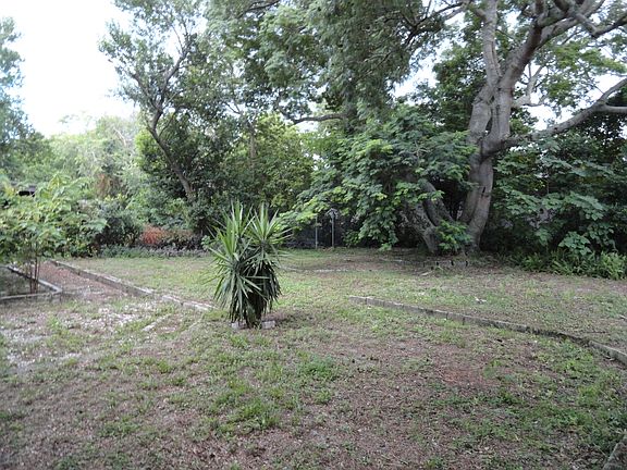 BIG  Backyard 
