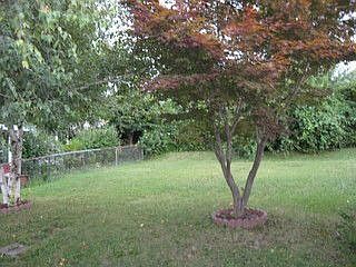 2nd image of 368 W Imboden Dr