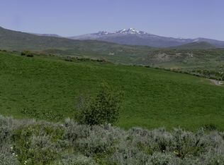 41855 Marabou Loop, Steamboat Springs, CO 80487