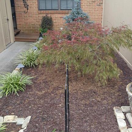 3rd image of 8600 Olde Colony Trl APT 121