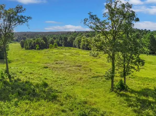 County Road 3100, San Augustine, TX 75972