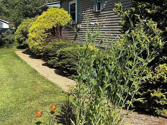 3rd image of 42 Dana Rd