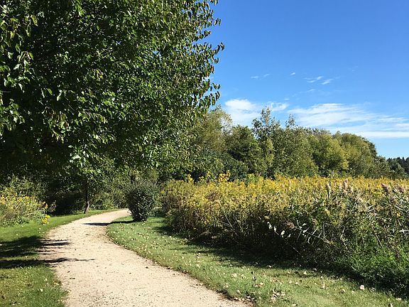 5-6 miles of walking trails