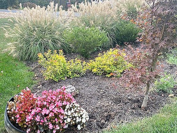 Example of plant bed