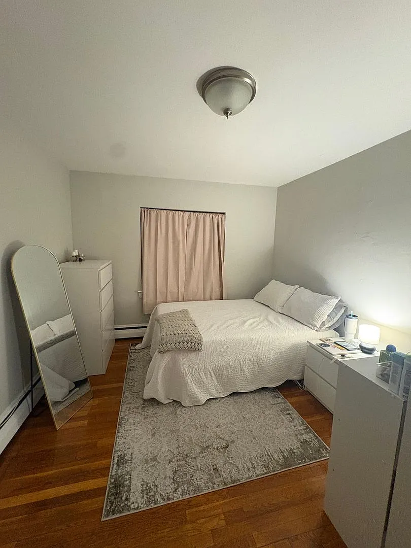 See YT Video! No Fee! Huge & Sunny Apt near Ts & Cleveland Cirlce. Cat Friendly — Photo 3