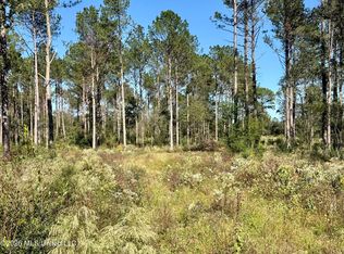 Rutland Rd, Jayess, MS 39641
