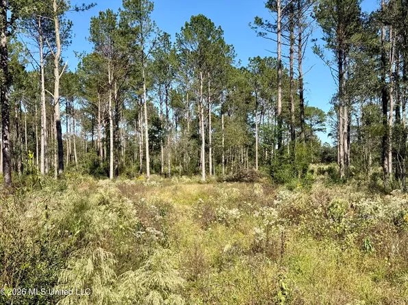 Rutland Rd, Jayess, MS 39641