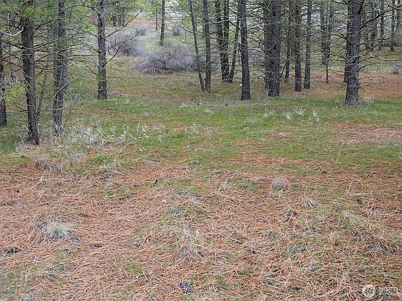 2nd image of 36435 Western Pines Drive N