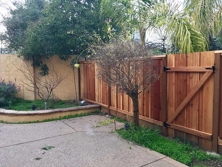 back yard