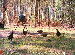 0 Bloodworth Whipple Rd, Toomsboro, GA 31090