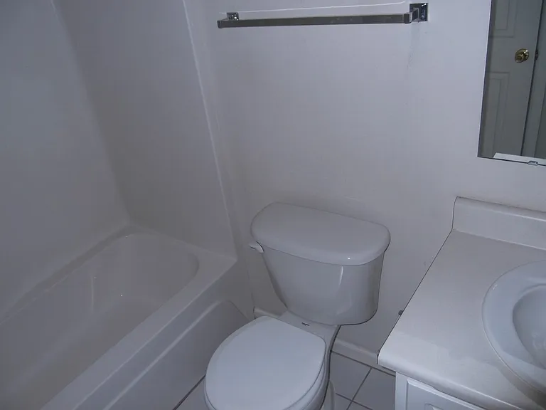 2937 Piney Mountain Dr — Photo 32