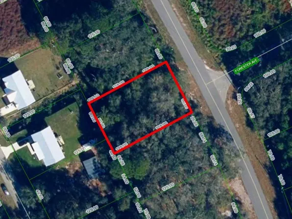 1020 WILDFLOWER STREET LOT 29, LAKE PLACID, FL 33852